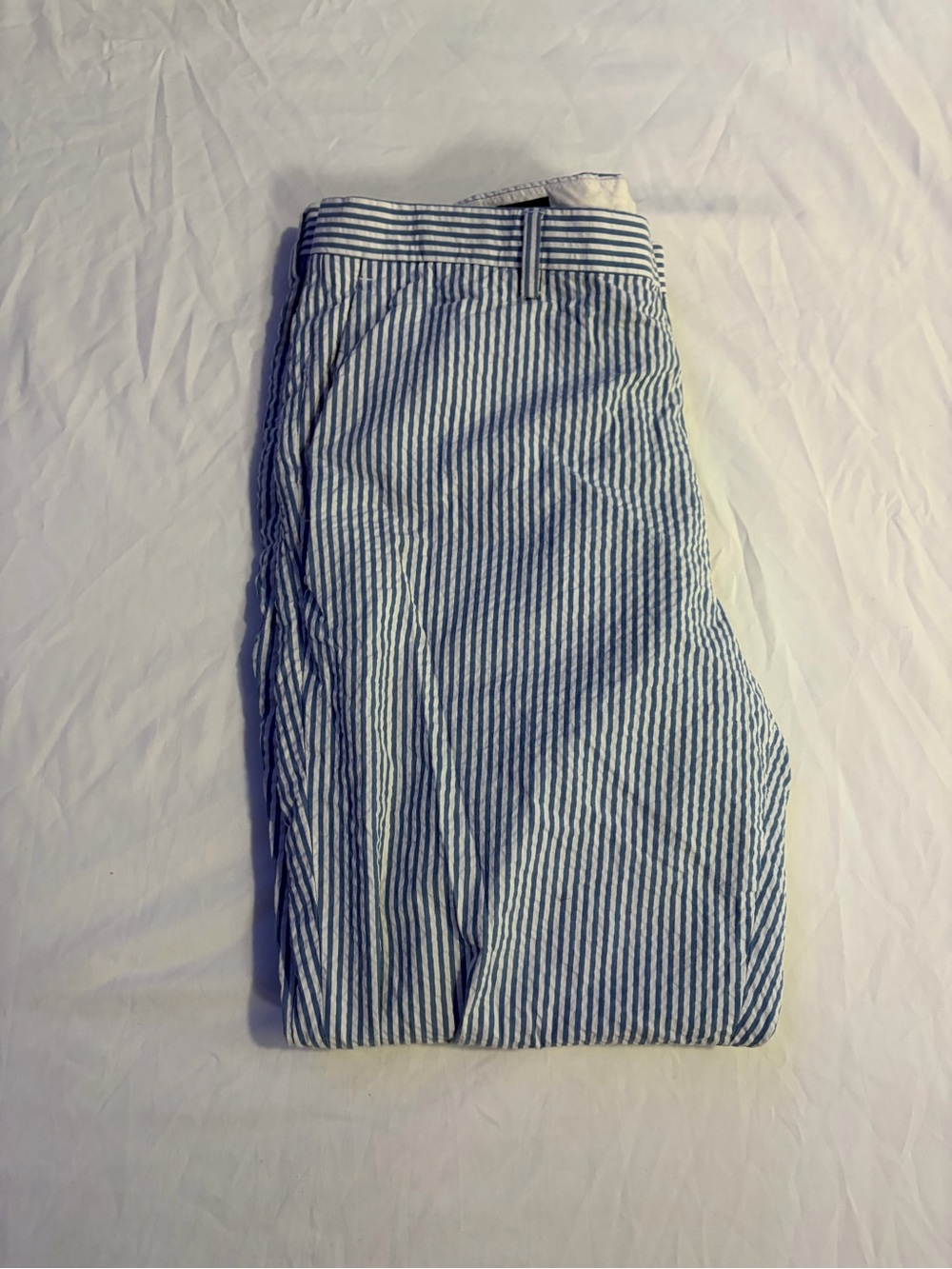 J. Crew Blue and White Striped Chinos